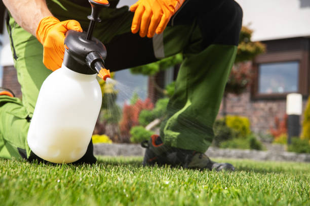 Best Best Pest Control Companies  in Deer Park, OH