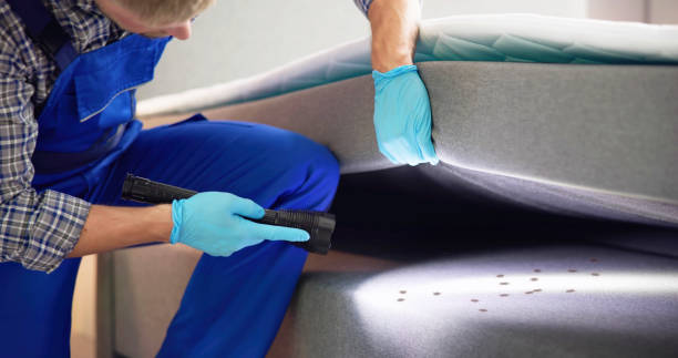 Reliable Deer Park, OH Pest Control Solutions