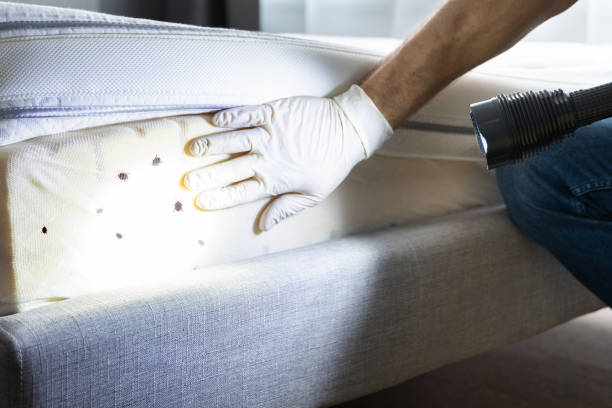 Best Emergency Pest Control  in Deer Park, OH
