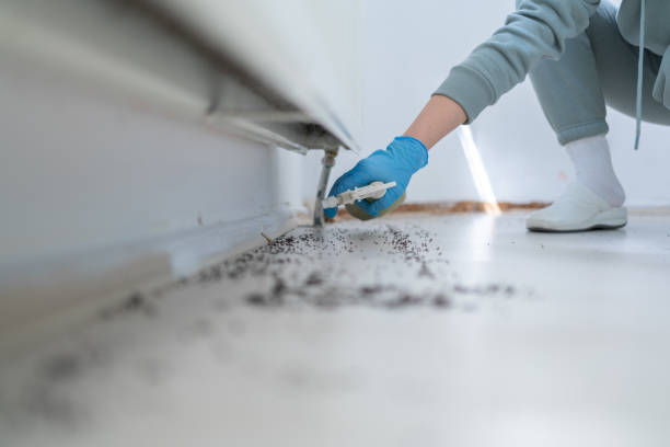 Best Commercial Pest Control Services  in Deer Park, OH